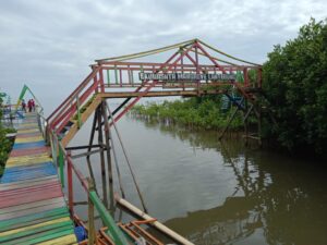 Hutan Mangrove Lantebung Bakal Disulap Jadi Longwis Unggulan