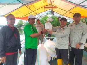 Pemprov Sulsel Salurkan Benih Udang Windu di Pulau Lakkang, Warga: Terima Kasih Banyak Pak Gubernur