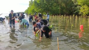 Tahun Ini 20.000 Bibit Mangrove Ditanam DKP Sulsel di Pangkep