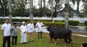 Seto Sumbang 8 Ekor Hewan Kurban ke Berbagai Kecamatan di Sinjai