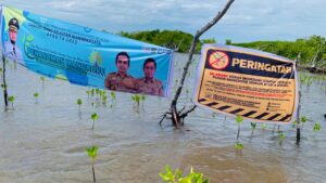 Merehab Ekosistem Pulau-pulau Kecil Takalar