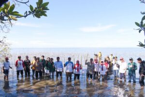 Rawat Ekosistem, CDK Bosowasi Tanam 38 Ribu Batang Mangrove di Pancaitana Bone