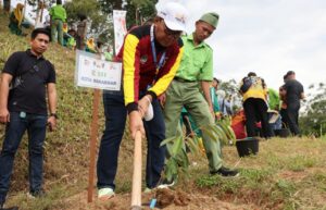 Boyong Pohon Durian, Danny Tanam di Kebun APEKSI Padang