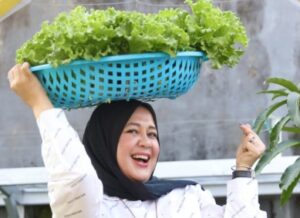 Usai Grebek Stunting di Puskesmas Bara-baraya, Wawali Fatma Panen Selada di Lorong Wisata