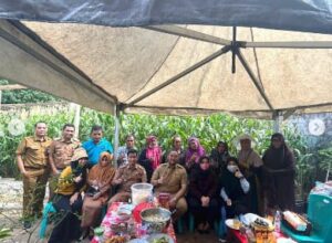 Camat Panakkukang Panen Jagung di Kebun Tengah Kota