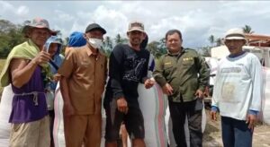 Dari 7 Ton Meningkat Mencapai 9 Ton, Bantuan Mandiri Benih oleh Gubernur Sulsel Tingkatkan Hasil Pertanian di Sidrap