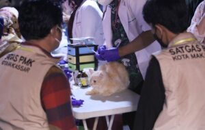 Animal Care Vaksin 160 Kucing dan Anjing di Makassar F8