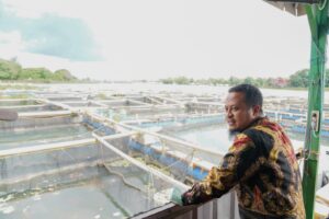 Gubernur Andi Sudirman Kunjungi Usaha Budidaya Perikanan Keramba Apung di Balang Baru