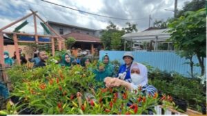 Ketua TP PKK Makassar, Kunjungi Lorong PKK Kelurahan Tello Baru