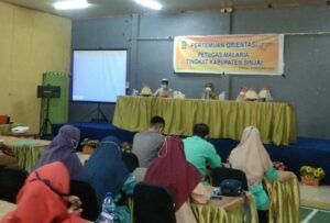 Dinkes Sinjai Komitmen Berantas Malaria