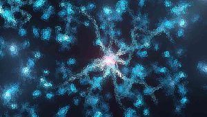 Brain Basics: The Life and Death of a Neuron