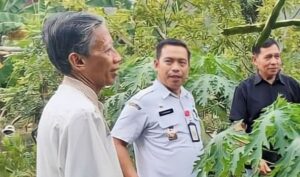 Target 2023, DPPKB Makassar Harap Stunting Menurun