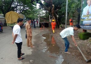 Camat Tallo Instruksikan Pangkas Ranting Pohon Demi Antisipasi Angin Kencang