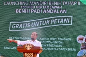 Mandiri Benih Dongkrak Produktivitas, Gubernur ASS: Tahun Ini Disalurkan 2,5 Juta Kg untuk 100 Ribu Ha
