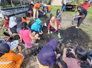 Lurah di Kecamatan Manggala Kompak Lakukan Pembibitan Sayur
