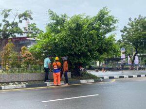 Camat Tamalanrea Pantau Langsung Kinerja Satgas
