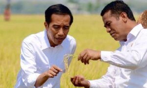 Begini Respons Andi Amran Sulaiman saat Ditanya soal ‘Wapres atau Gubernur?’