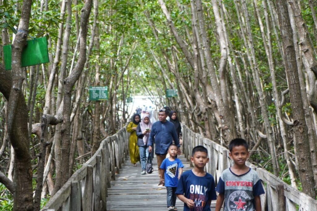Lebaran Tahun 2023, Hutan Mangrove Tongke – Tongke Sinjai Padat Pengunjung