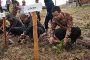 Wajo Kembali Produksi Kokon Setelah 20 Tahun, Bupati Amran: Terima Kasih Pak Gubernur