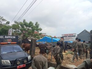 Kasatpol PP Makassar Terjunkan Personelnya untuk Tertibkan Tindakan Jual Beli Ternak