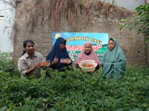 Warga Mariso Panen Cabai & Hasilkan Rp500 Ribu Per Bulan, Juliaman: Buah Program Lorong Wisata