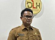 DLH Makassar Terima 9 Laporan Pohon Tumbang, Warga Diminta Berhati-hati