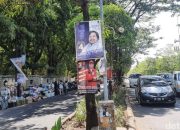 DLH Makassar Tertibkan APK Caleg yang Dipaku di Pohon