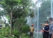 Bersama DLH Makassar, Rutan Pangkas Ranting Pohon Area Kantor