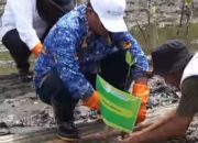 DLH Makassar Terima Bantuan Bibit Mangrove CSR