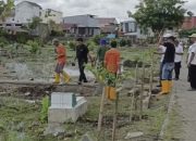 UPT Pemakaman DLH Makassar Menanam Pohon di Makam Maccini