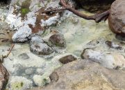 Ini Alasan Fundamental Pemuda Menolak Rencana Pembangunan Geothermal di Sinjai  