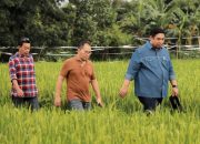 Pemkot Makassar Siapkan Anggaran untuk Akses Jalan Stadion
