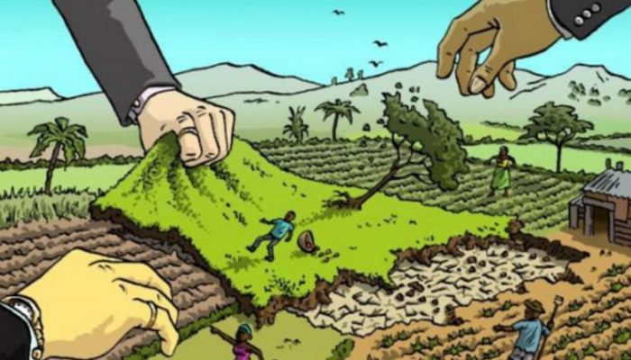 Drama Elit dan Mafia Tanah di Balik Pembebasan Lahan PT Masmindo