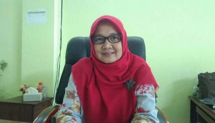 Kadinkes Sinjai Pastikan Pelayanan Kesehatan Tetap Berjalan Meski Libur Cuti Lebaran