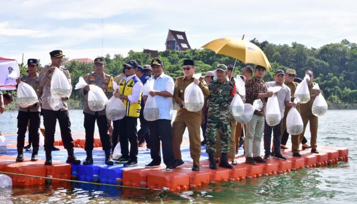 Tebar 250 Ribu Benih, Pj Gub Sulsel Target Wajo Jadi Pusat Ikan Air Tawar