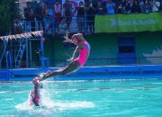 Kejuaraan Renang Mattalatta Cup 2024 Digelar untuk Peringati HUT ke-96 Paotere Aquatik