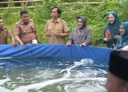 Didampingi Camat Tamalate, Ketua TP PKK Makassar Tebar Benih Udang Vaname di Tanjung Merdeka