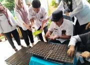 Mengajak Masyarakat Bontoala Budidaya Tanaman Cabai