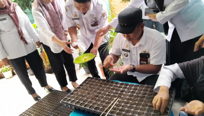 Mengajak Masyarakat Bontoala Budidaya Tanaman Cabai