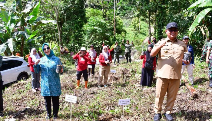 Peringatan Hari Bumi 2024 Pemkot Palopo Ikut Serta Penanaman Pohon Serentak