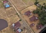 Bencana Alam di Luwu, JN:  Aktivitas Pertambangan Perlu Dihentikan dan Diaudit APH