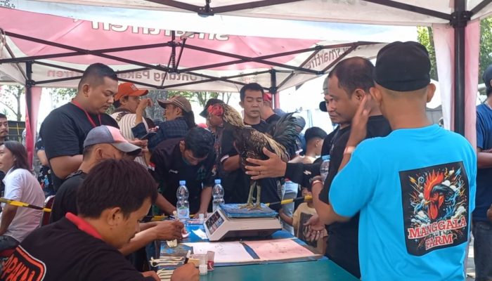 PPAKN Makassar Sukses Menggelar Alphard Cup 1, Diikuti Ratusan Peserta Dari Berbagai Daerah