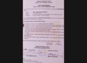 Fix! Partai Hanura Rekomendasikan Danny Pomanto di Pilgub Sulsel 