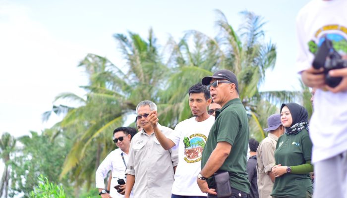Peringati Hari Lingkungan Hidup, Bupati Andi Utta Tanam Mangrove