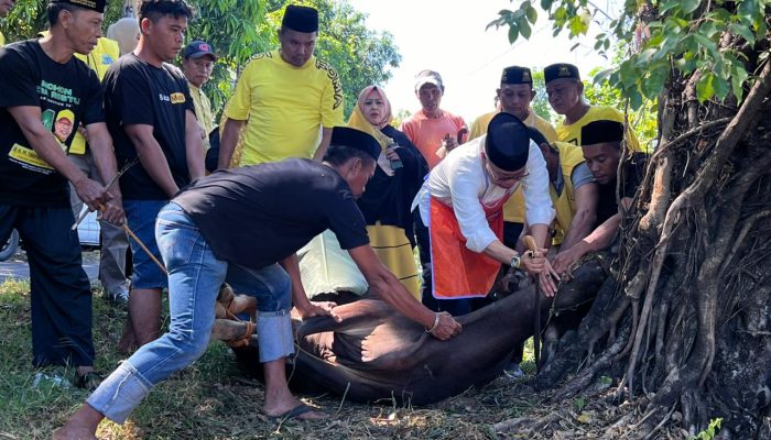 Golkar Parepare Berkurban, Taufan Pawe Ingatkan Kader: Hidup Harus Berkorban
