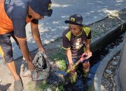 Satgas Dinas PU Makassar Lakukan Perbaikan Saluran di Jl Muh Tahir 3