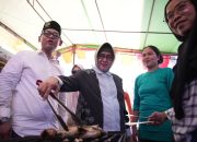 Festival Bakar Ikan Jalan Barukang Ujung Tanah: Perayaan HUT RI dengan Sentuhan Kearifan Lokal
