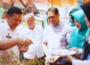 Camat Bontoala Bersama DKP Makassar Panen Cabai