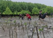 Program Penanaman Mangrove Andalan Malah Diklaim Danny Dalam Debat