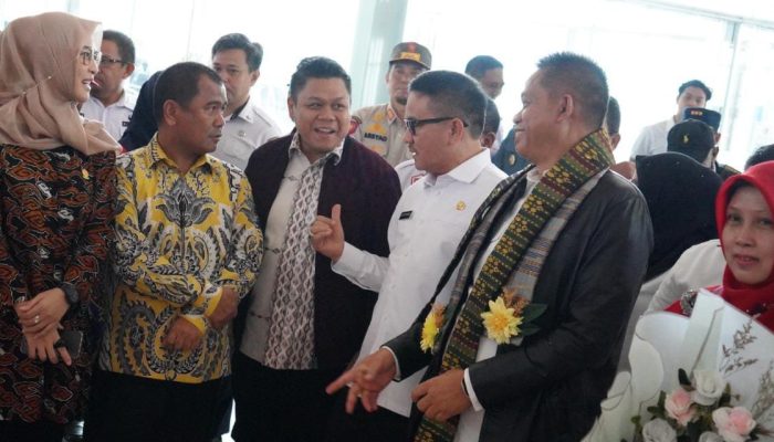 Yasir Machmud Turut Hadir Sambut Pj Gubernur Sulsel di Bandara Sulhas